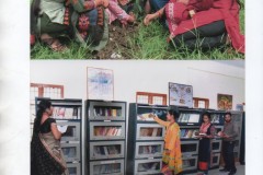 gallery-12